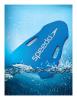 Competition Kickboard