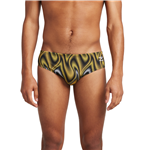 Purpose Brief