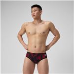 Space Train Brief