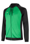 Team Speedo Zip Front Hoodie -- Ryan Lochte Edition