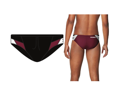 Tennessee High School Vikings Brief w/Logo