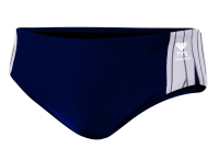 Dacula Dolphins Team Brief + LOGO