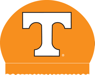 Silicone UT Swim Cap, White
